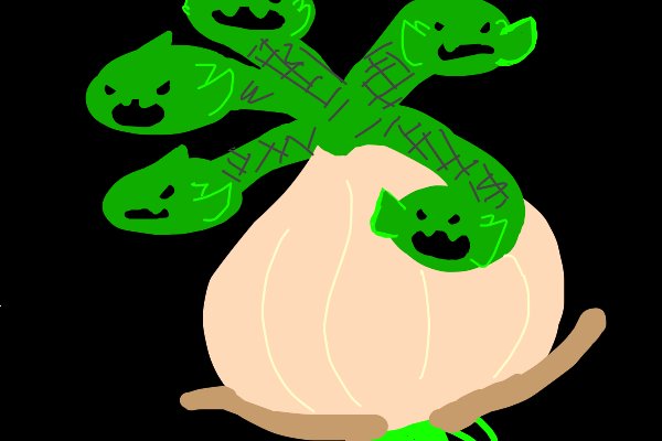 Hidra onion