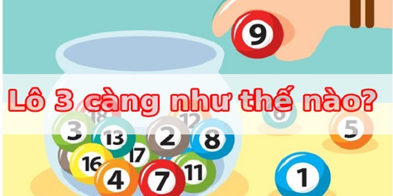 Ăn bao nhiêu tiền khi chơi 3 càng là gì?