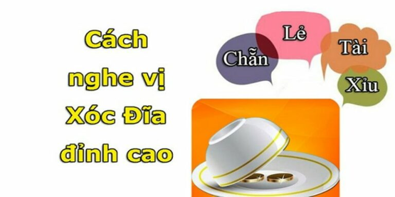 Cách đọc vị xóc đĩa chuẩn cùng chuyên gia V9bet
