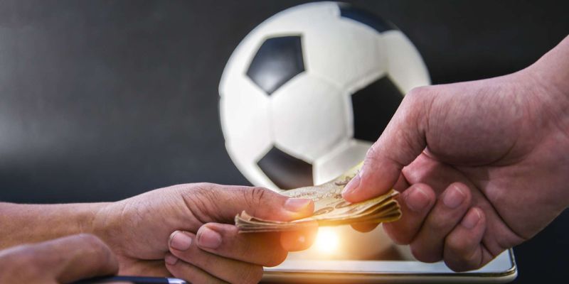 Luôn tích góp từng kinh nghiệm để tránh thua lỗ